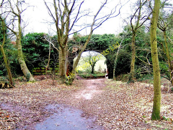 Photo 6"x4" Disused railway viaduct near Blackstone Bewdley\/SO7875 c2008
