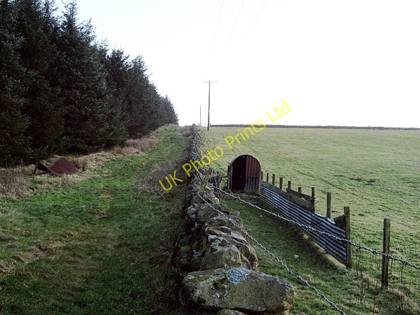 Photo 6"x4" Sheep enclosure and hut Tindale c2008