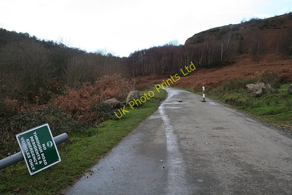 Photo 6"x4" Closed Road to Gullet Quarry Chandler's Cross\/SO7738 c2008