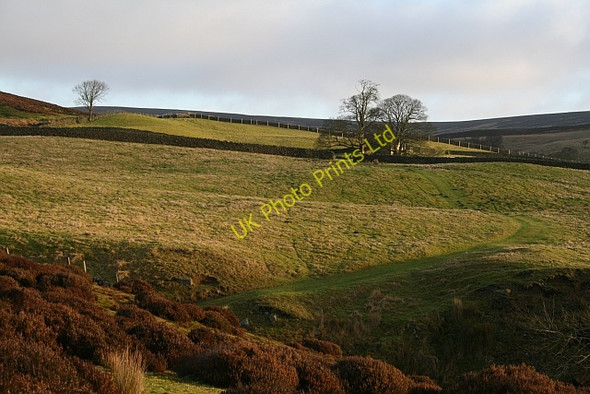 Photo 6"x4" Agill House Farmland Howgill\/SE0659 c2008