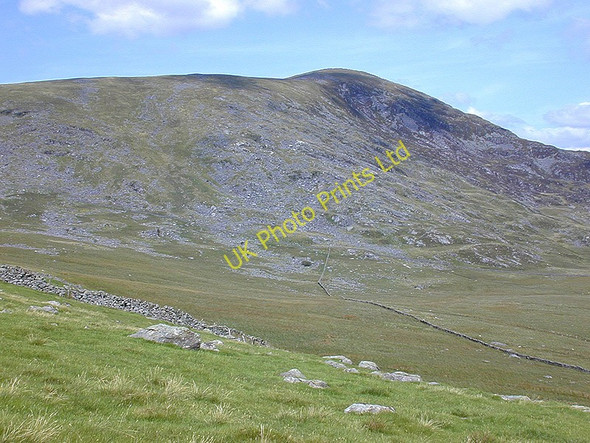 Photo 6"x4" Grazing on Braich Llechfraith c2002