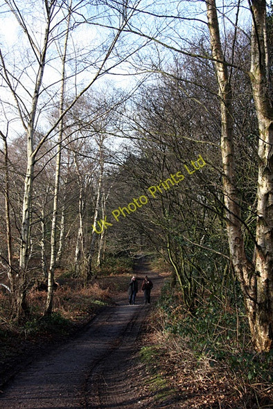 Photo 6"x4" Track on West Heath Hampstead\/TQ2685 c2008