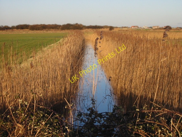 Photo 6"x4" Looking NE along a ditch in the Lydden Valley Hacklinge c2008