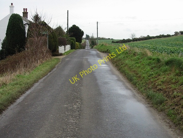 Photo 6"x4" View along the Ripple Road towards the A258 Kingsdown\/TR3748 c2008