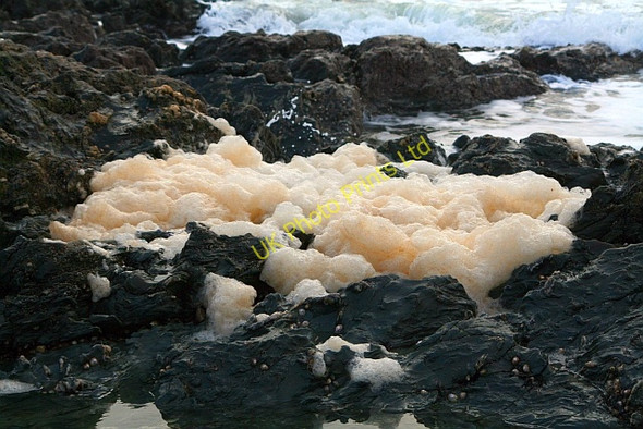 Photo 6"x4" Foam on Rocks at Saddell Bay Saddell c2008
