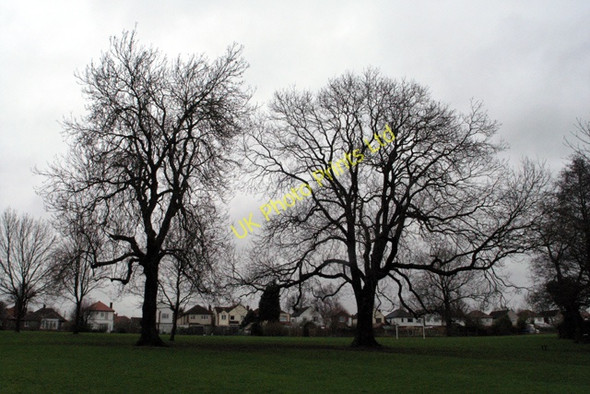 Photo 6"x4" Two Ashes, Cator Lane Recreation Ground, Chilwell Beeston\/SK5236 c2008