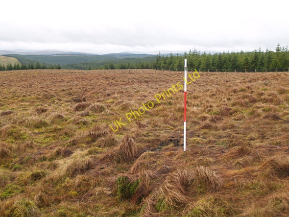 Photo 6"x4" Marker post, Fall Moss Glencraigie Burn c2008