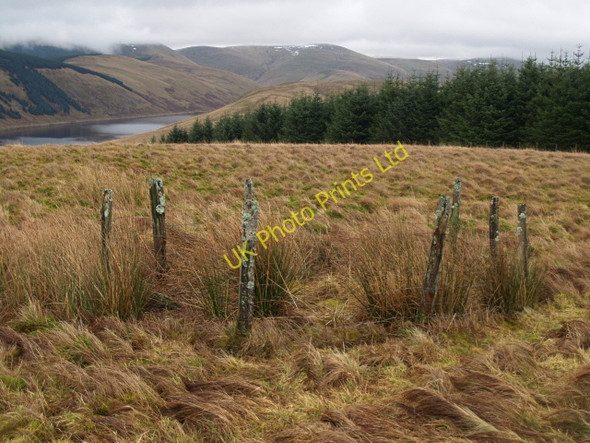 Photo 6"x4" Small enclosure, Glengonnor Hill Glenbreck c2008