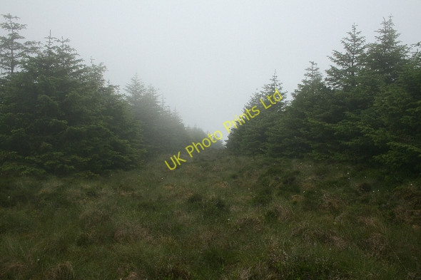 Photo 6"x4" Firebreak on Creag nan Cuilean. Creag nan Cuilean\/NR6216 c2007