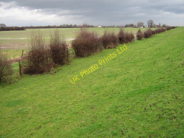 Photo 6"x4" Hawthorn view Rawcliffe\/SE6822 c2008