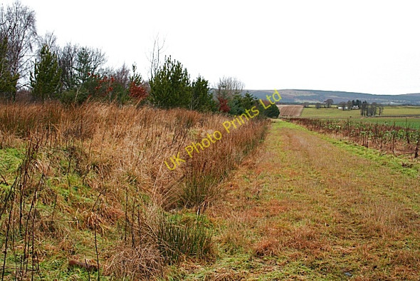 Photo 6"x4" East of the Cromarty Firth Industrial Estate Invergordon c2008
