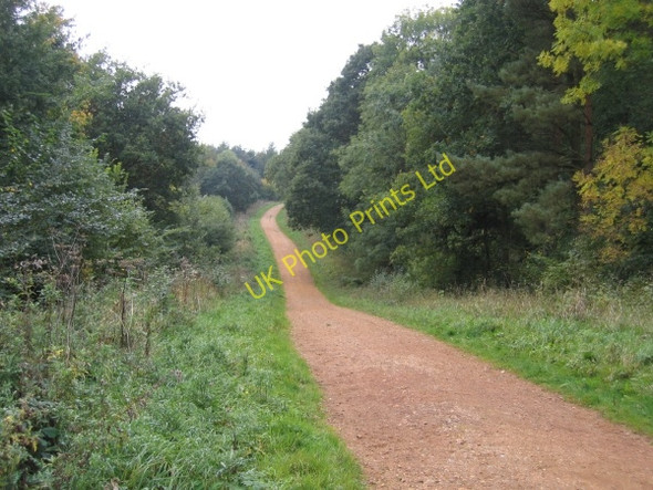 Photo 6"x4" Maulden Wood, Beds Green End\/TL0638 c2005 P1