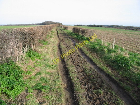 Photo 6"x4" Bridleway from Mill Hill Martin Mill c2008