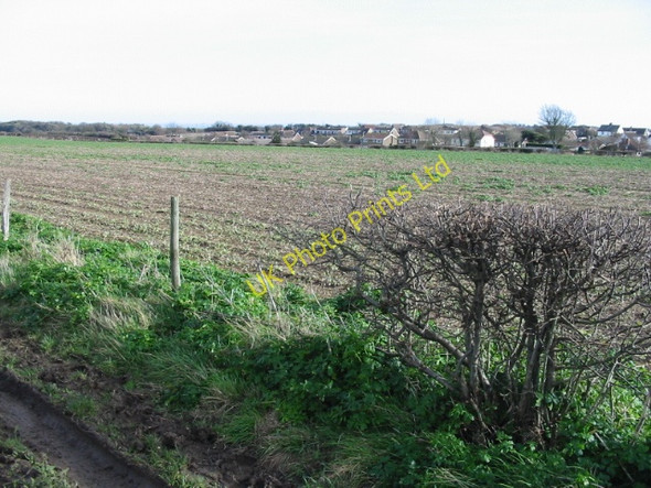 Photo 6"x4" View across the fields from bridleway Martin Mill c2008