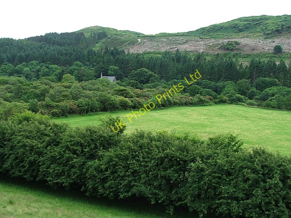 Photo 6"x4" Bridgend Church and Church Wood. Bridgend\/NR7937 c2007