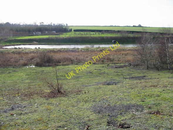 Photo 6"x4" Alder Lake from Fowlmead Park Deal c2008