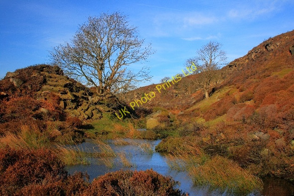 Photo 6"x4" Pond Below Esklets Crag Westerdale\/NZ6605 c2008