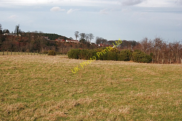 Photo 6"x4" River Spey Flood Plain Fochabers c2008