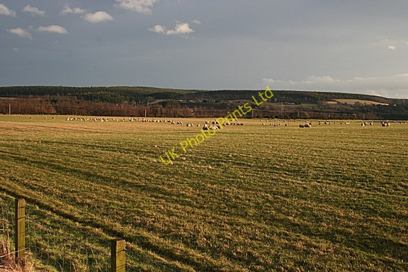 Photo 6"x4" Pasture at Dipple Fochabers c2008