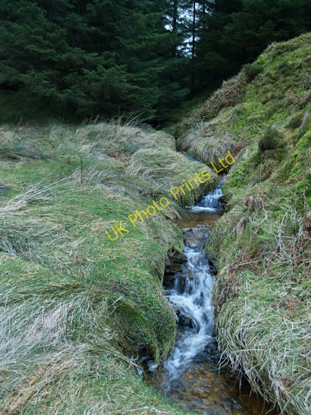 Photo 6"x4" Bruntshiel Cleuch Skelfhill c2008