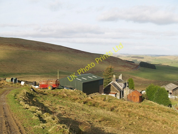 Photo 6"x4" Dod Farm Skelfhill c2008