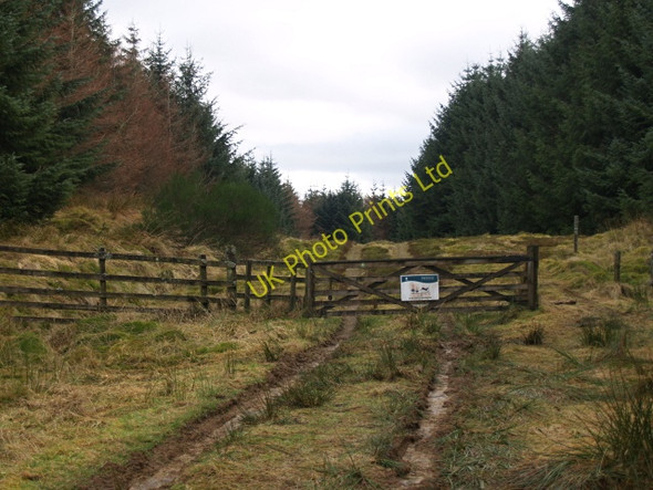 Photo 6"x4" Forest gate, The Pike Skelfhill c2008