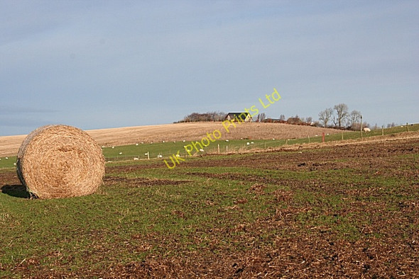 Photo 6"x4" Looking Towards Quarryhead Blackhillock\/NJ4348 c2008