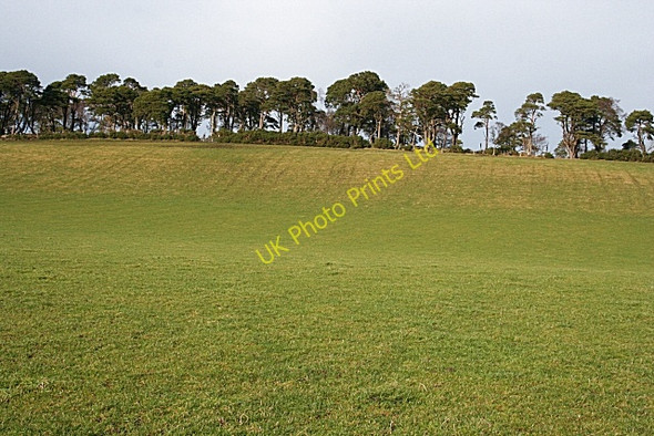 Photo 6"x4" Ten Rood Hill (2) Towiemore c2008