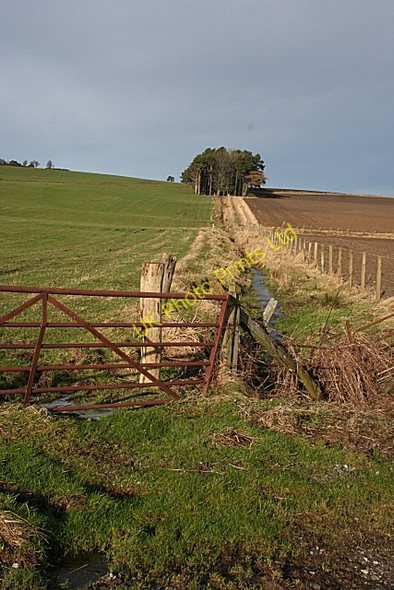Photo 6"x4" March and Burn Towiemore c2008