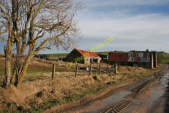 Photo 6"x4" Upper Hillside Ardonald c2008 P1