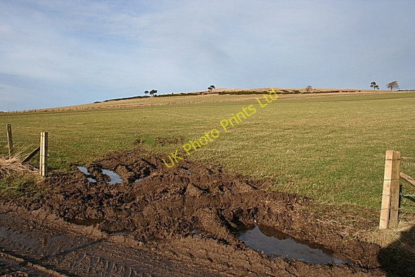 Photo 6"x4" Hill of Janetstown Ardonald c2008