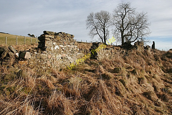 Photo 6"x4" Lower Hillside Towiemore c2008