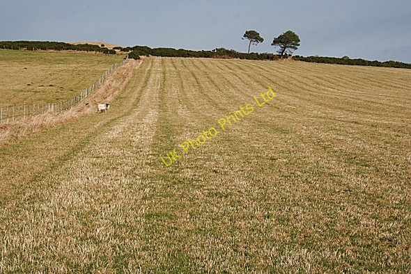 Photo 6"x4" Hill of Janetstown Towiemore c2008