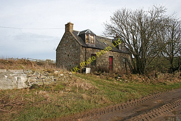 Photo 6"x4" Upper Hillside Ardonald c2008