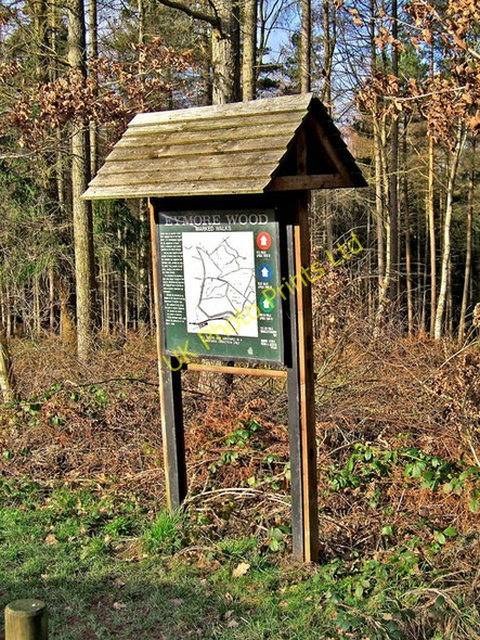 Photo 6"x4" Information Board, Eymore Wood Holbeache c2008