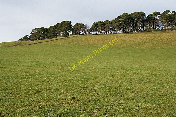 Photo 6"x4" Ten Rood Hill (1) Towiemore c2008