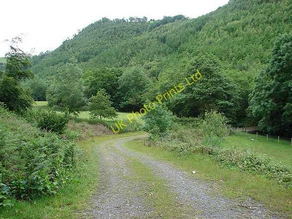Photo 6"x4" Track Near Abercegir Abercegir c2007
