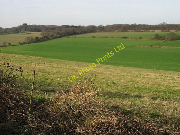Photo 6"x4" Looking W from Thornton Lane Heronden\/TR2954 c2008