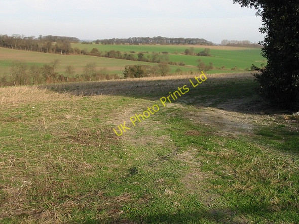 Photo 6"x4" View N from Thornton Lane Knowlton\/TR2853 c2008