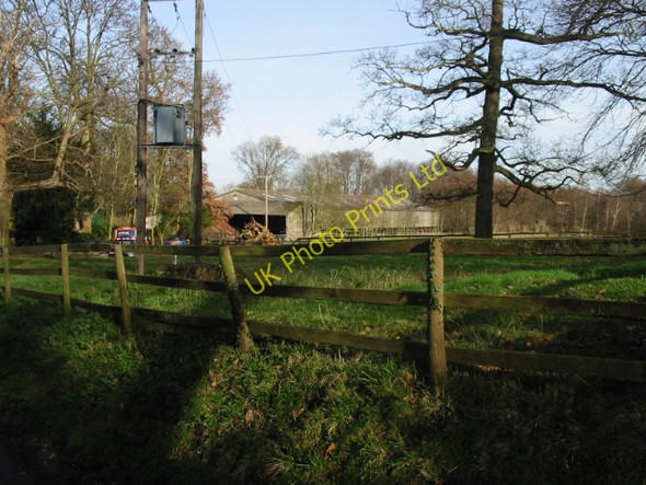 Photo 6"x4" Paddock at Knowlton Knowlton\/TR2853 c2008