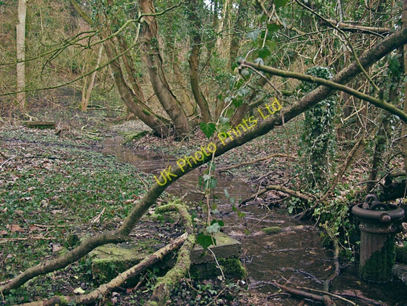 Photo 6"x4" Stream in Elloughton Dale Brantingham c2008