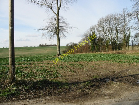 Photo 6"x4" Farmland viewed from Pike Road Tilmanstone c2008