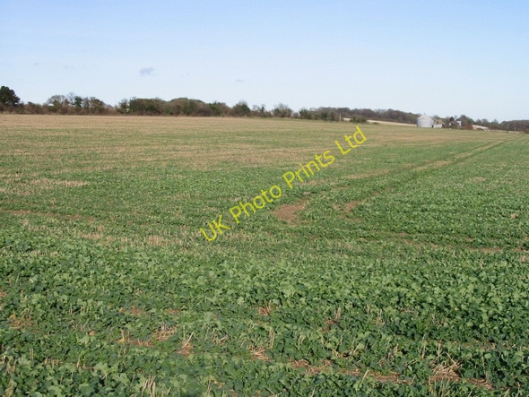 Photo 6"x4" View across the fields to Kittington Farm Elvington\/TR2750 c2008