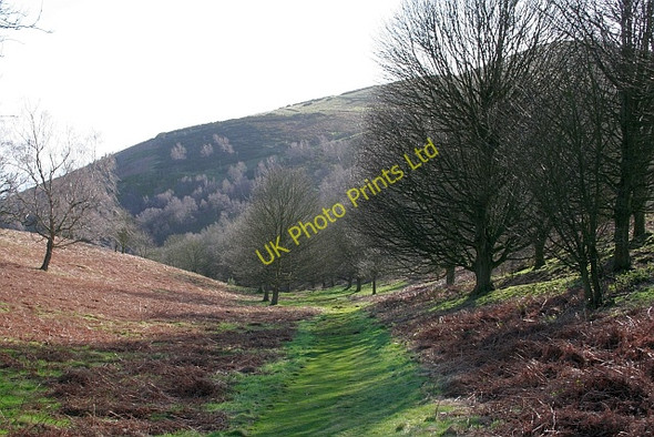 Photo 6"x4" Green Valley Great Malvern c2008