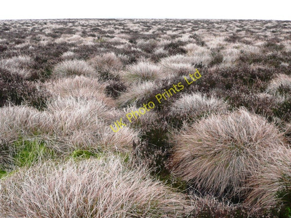 Photo 6"x4" Twyn Du Abersychan c2008