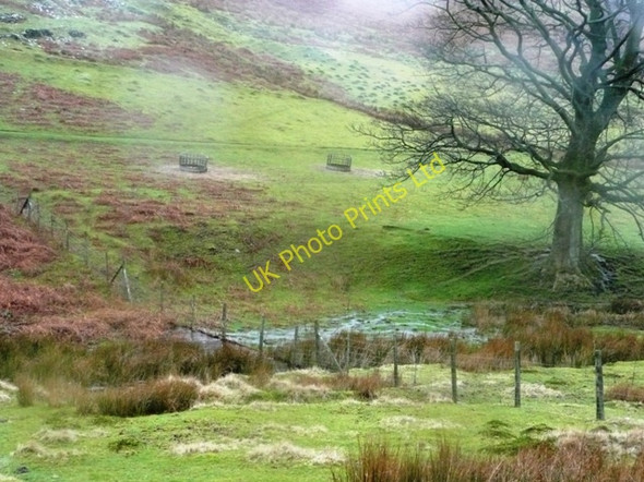 Photo 6"x4" In Cwm Sychan Abersychan c2008