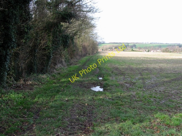 Photo 6"x4" View along footpath to Nonington Barfrestone c2008
