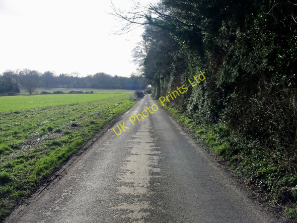 Photo 6"x4" View  towards Stafflands Wood Frogham\/TR2550 c2008