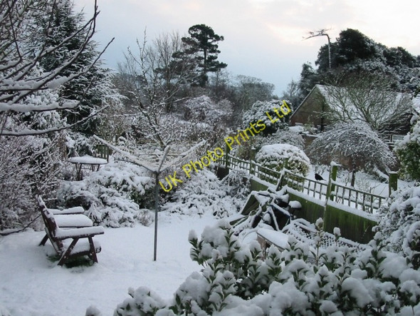Photo 6"x4" Gardens in the snow Buttsole c2005