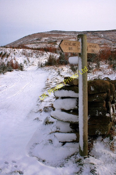 Photo 6"x4" Cleveland Way Signpost Great Busby c2008